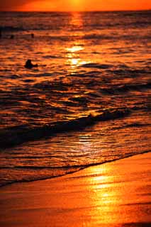 Foto, materiell, befreit, Landschaft, Bild, hat Foto auf Lager,Waikiki Beach, , , , 