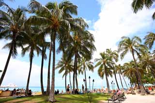 Foto, materieel, vrij, landschap, schilderstuk, bevoorraden foto,Waikiki Beach., , , , 