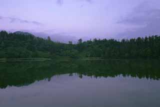 Foto, materieel, vrij, landschap, schilderstuk, bevoorraden foto,Morgen Himenuma Pond, Wateroppervlak, Boom, Lucht, Himenumpond