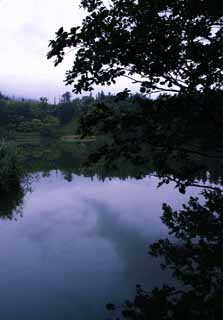 photo, la matire, libre, amnage, dcrivez, photo de la rserve,tang du matin brumeux, surface d'eau, arbre, ciel, HimenumPond