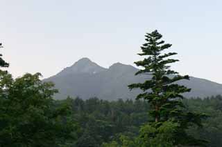 photo,material,free,landscape,picture,stock photo,Creative Commons,Mt. Rishiri-fuji, tree, mountain, sky, HimenumPond
