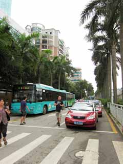 Foto, materieel, vrij, landschap, schilderstuk, bevoorraden foto,De stad Shenzhen, , , , 