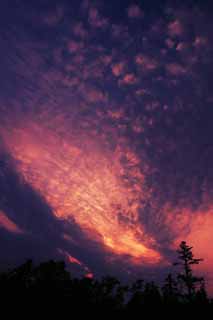 Foto, materieel, vrij, landschap, schilderstuk, bevoorraden foto,Zonsopgang bewolkt, Zonsopgang gloeien, Rood, Wolk, Lucht