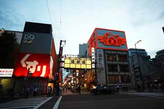 fotografia, materiale, libero il panorama, dipinga, fotografia di scorta,Dotonbori, , , , 