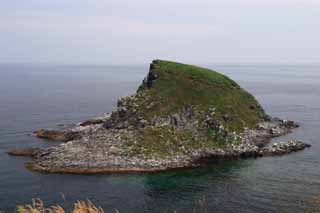 fotografia, materiale, libero il panorama, dipinga, fotografia di scorta,Paese indipendente di seafowls, isola, pietra, gabbiano, 