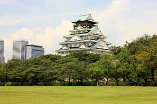 Foto, materieel, vrij, landschap, schilderstuk, bevoorraden foto,Toren van Osaka Castle, , , , 