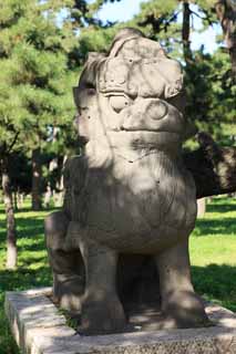 Foto, materiell, befreit, Landschaft, Bild, hat Foto auf Lager,Bild von Zhao Mausoleum (Qing) Tier, , , , 