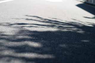 Foto, materiell, befreit, Landschaft, Bild, hat Foto auf Lager,Bequemlichkeit im Schatten, Asphalt, Schatten, , grner Schatten