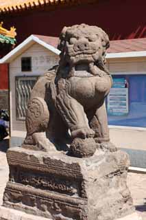 Foto, materiell, befreit, Landschaft, Bild, hat Foto auf Lager,Shenyang Imperial Palace Lion, , , , 