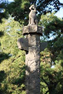 photo,material,free,landscape,picture,stock photo,Creative Commons,Fuling Tomb stone lions, , , , 