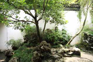 fotografia, material, livra, ajardine, imagine, proveja fotografia,Lingering Garden Courtyard, , , , 