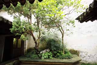 fotografia, material, livra, ajardine, imagine, proveja fotografia,Lingering Garden Courtyard, , , , 