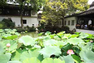 photo,material,free,landscape,picture,stock photo,Creative Commons,Lingering Garden pond, , , , 