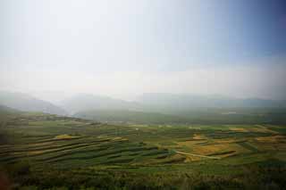 fotografia, materiale, libero il panorama, dipinga, fotografia di scorta,Campi terrazzati, , , , 