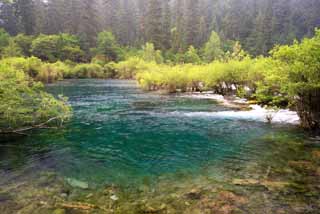 photo,material,free,landscape,picture,stock photo,Creative Commons,Jiuzhaigou bonsai Nada, , , , 