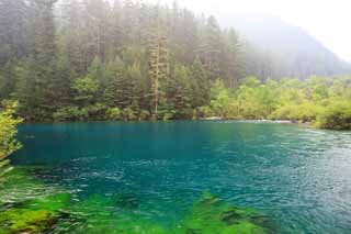 fotografia, materiale, libero il panorama, dipinga, fotografia di scorta,Bonsai Jiuzhaigou Nada, , , , 