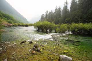 foto,tela,gratis,paisaje,fotografa,idea,Bonsai de Jiuzhaigou nada, , , , 