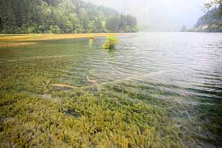 fotografia, materiale, libero il panorama, dipinga, fotografia di scorta,Yatakeumi Jiuzhaigou, , , , 