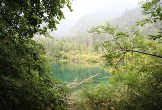 photo, la matire, libre, amnage, dcrivez, photo de la rserve,Jiuzhaigou, , , , 