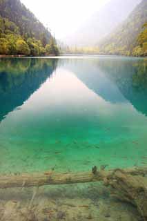 photo,material,free,landscape,picture,stock photo,Creative Commons,Jiuzhaigou Kumanekoumi, , , , 