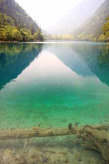 photo,material,free,landscape,picture,stock photo,Creative Commons,Jiuzhaigou Kumanekoumi, , , , 