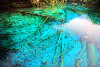 photo, la matire, libre, amnage, dcrivez, photo de la rserve,Gohanaumi Jiuzhaigou, , , , 