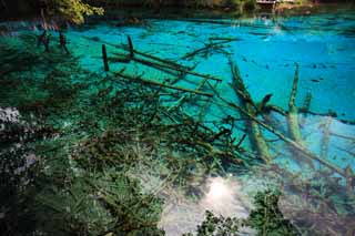 fotografia, materiale, libero il panorama, dipinga, fotografia di scorta,Gohanaumi Jiuzhaigou, , , , 