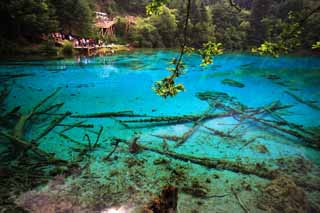 fotografia, materiale, libero il panorama, dipinga, fotografia di scorta,Gohanaumi Jiuzhaigou, , , , 