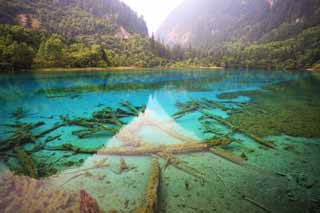 fotografia, materiale, libero il panorama, dipinga, fotografia di scorta,Gohanaumi Jiuzhaigou, , , , 