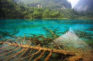 Foto, materiell, befreit, Landschaft, Bild, hat Foto auf Lager,Jiuzhaigou Gohanaumi, , , , 