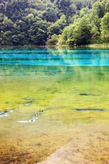 foto,tela,gratis,paisaje,fotografa,idea,De Jiuzhaigou Gohanaumi, , , , 