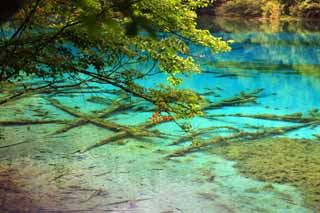 Foto, materiell, befreit, Landschaft, Bild, hat Foto auf Lager,Jiuzhaigou Gohanaumi, , , , 