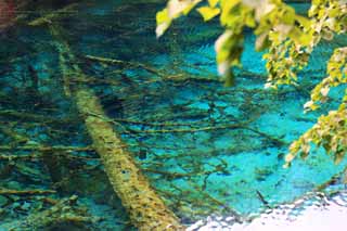 photo, la matire, libre, amnage, dcrivez, photo de la rserve,Gohanaumi Jiuzhaigou, , , , 