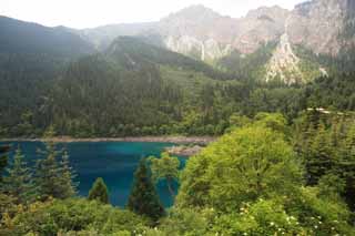 foto,tela,gratis,paisaje,fotografa,idea,Cinco colores de Jiuzhaigou estanque, , , , 