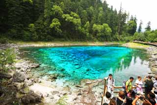 foto,tela,gratis,paisaje,fotografa,idea,Cinco colores de Jiuzhaigou estanque, , , , 