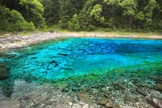 photo, la matire, libre, amnage, dcrivez, photo de la rserve,Cinq couleurs de Jiuzhaigou pond, , , , 