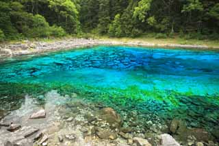 photo, la matire, libre, amnage, dcrivez, photo de la rserve,Cinq couleurs de Jiuzhaigou pond, , , , 