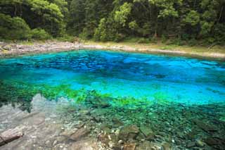 foto,tela,gratis,paisaje,fotografa,idea,Cinco colores de Jiuzhaigou estanque, , , , 