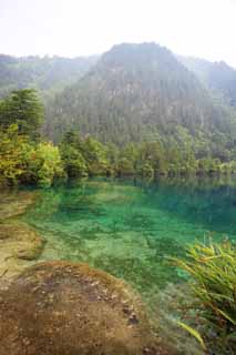 photo, la matire, libre, amnage, dcrivez, photo de la rserve,Saiushiumi Jiuzhaigou, , , , 