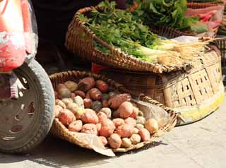 photo,material,free,landscape,picture,stock photo,Creative Commons,Potato stalls, , , , 