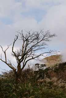 ,,, ,,,   Ohwakudani.  , Hakone., .,  .  , .  