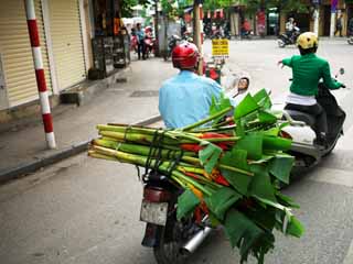 foto,tela,gratis,paisaje,fotografa,idea,El Casco Antiguo de Hanoi, , , , 