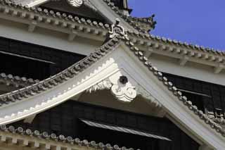 Foto, materiell, befreit, Landschaft, Bild, hat Foto auf Lager,In Kumamoto Castle, , , , 