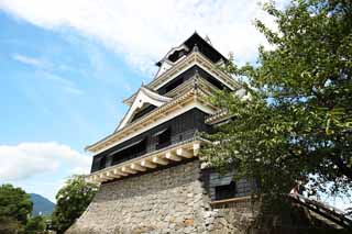 fotografia, materiale, libero il panorama, dipinga, fotografia di scorta,Al Castello di Kumamoto, , , , 