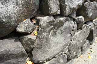 Foto, materiell, befreit, Landschaft, Bild, hat Foto auf Lager,In Kumamoto Castle, , , , 