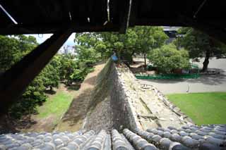 Foto, materieel, vrij, landschap, schilderstuk, bevoorraden foto,In Kumamoto Castle, , , , 