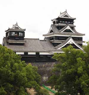 Foto, materieel, vrij, landschap, schilderstuk, bevoorraden foto,In Kumamoto Castle, , , , 