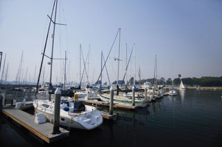 fotografia, materiale, libero il panorama, dipinga, fotografia di scorta,Porto di yacht di pomeriggio, yacht, mare, porto, albero