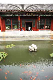 Foto, materiell, befreit, Landschaft, Bild, hat Foto auf Lager,Beihai Park statische Shinsai, , , , 