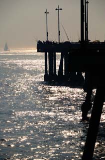 fotografia, materiale, libero il panorama, dipinga, fotografia di scorta,Il pomeriggio di pescatori, verga che pesca, mare, yacht, orizzonte